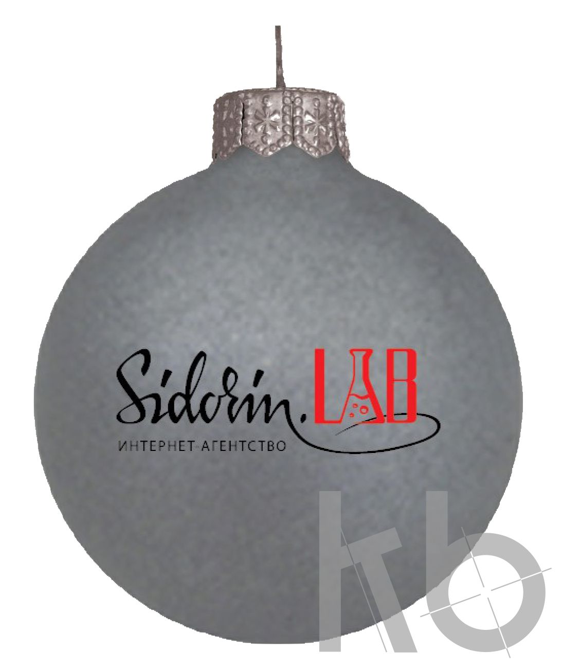 Sidorin Lab