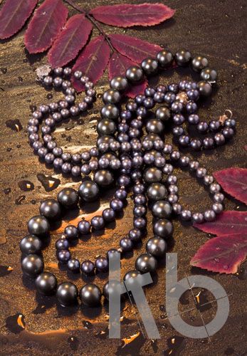 Фотосъемка