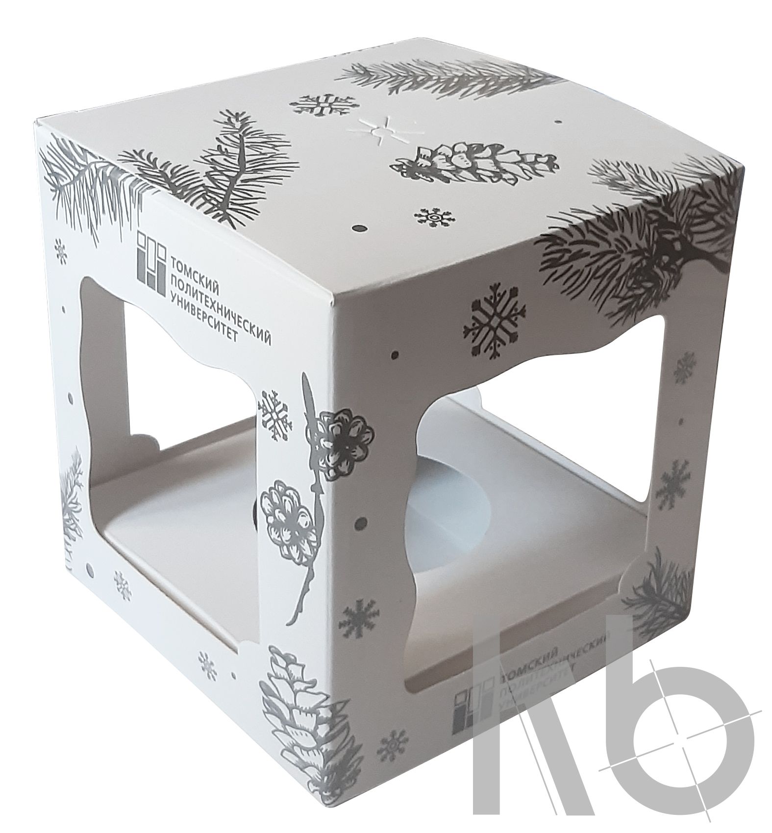 Томский институт