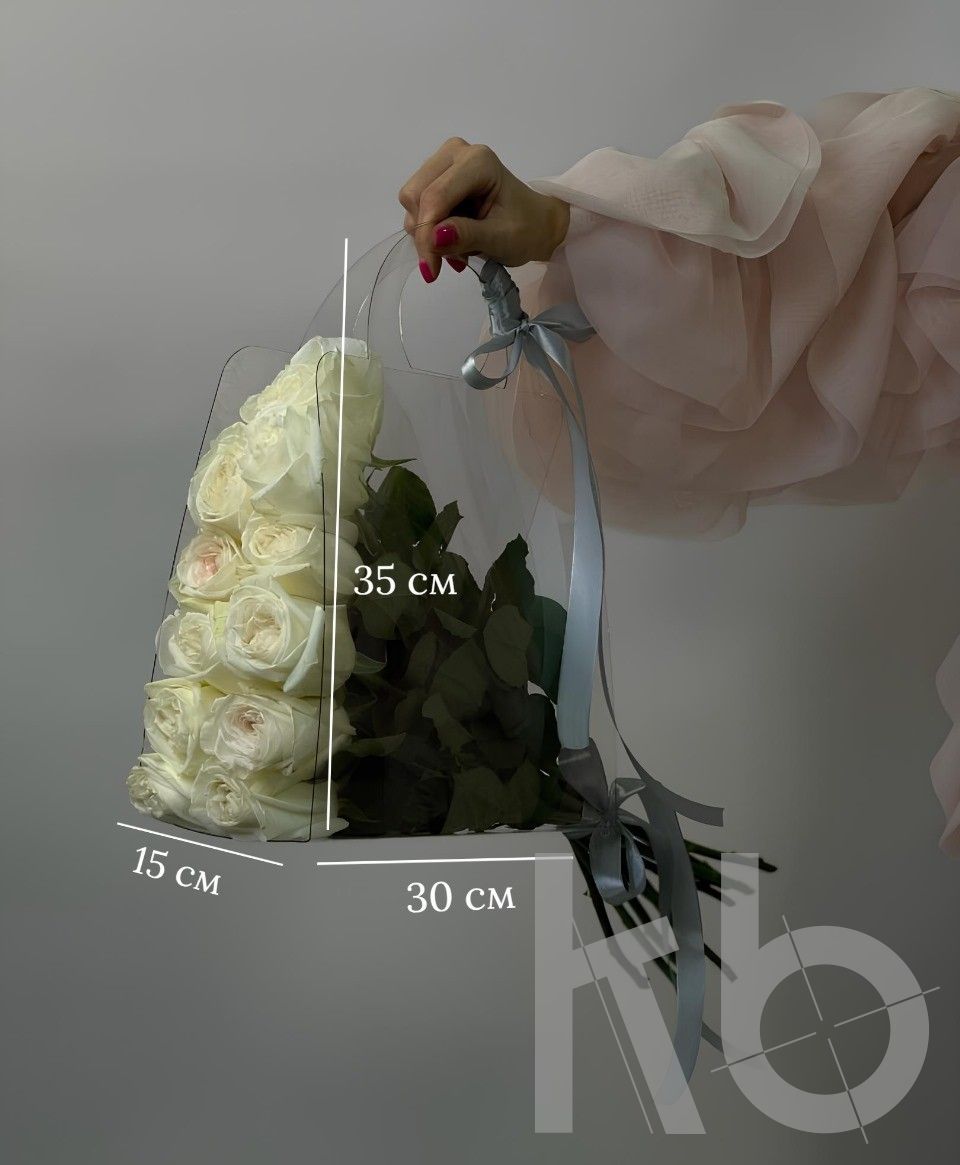 Переноска для цветов из прозрачного пластика